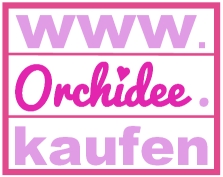 Orchidee.kaufen Onlineshop für Orchideen und weitere Pflanzen Logo